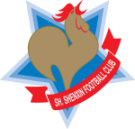 Shanghai Shenxin