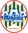 Montedio Yamagata