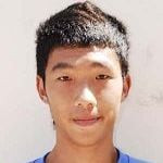 Cheng King Ho