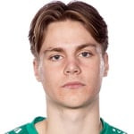 N. Arvidsson