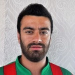 A. Arı