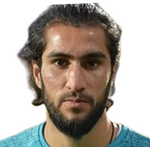 V. Erçin