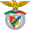 Benfica Castelo Branco