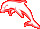Dolphins
