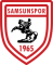 Samsunspor